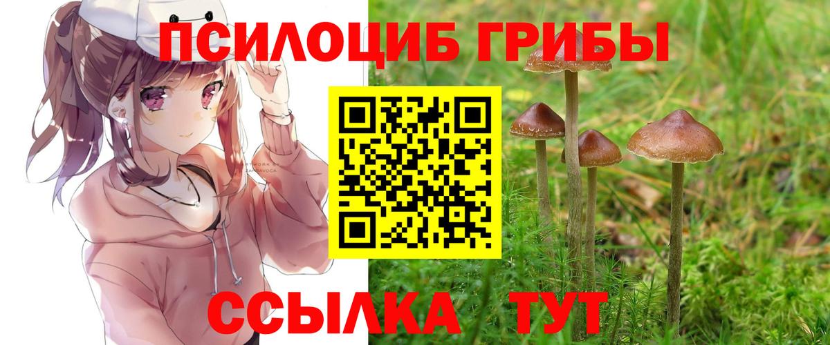 Галлюциногенные грибы Psilocybine cubensis Ефремов